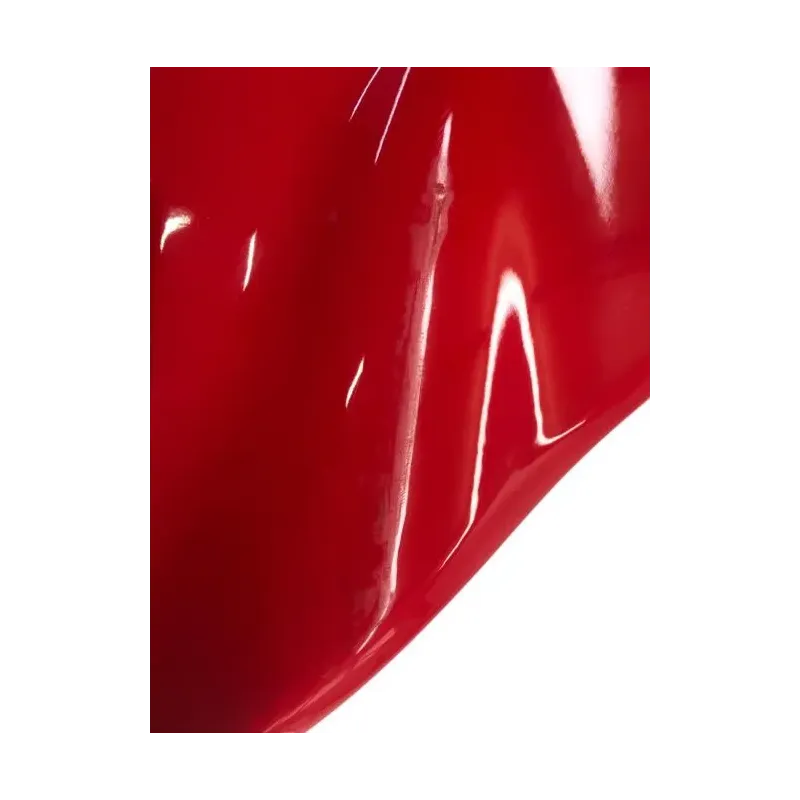 Cache flanc de carenage gauche DUCATI SUPERSPORT 939 2017-2020