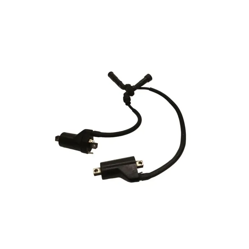 Bobine allumage SUZUKI SV 650 S 1999-2002