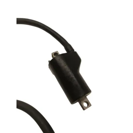 Bobine allumage SUZUKI SV 650 S 1999-2002
