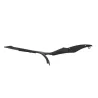 Cache carenage sous selle droit DUCATI 848 2008-2010 SUPERBIKE Cache carenage sous selle droit DUCATI 848 2008-2010 SUPERBIKE