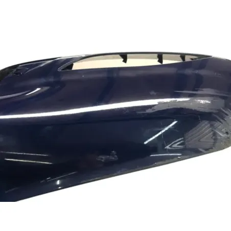 Cache carenage tete de fourche INDIAN CHIEFTAIN 1811 2018-2020 CLASSIC