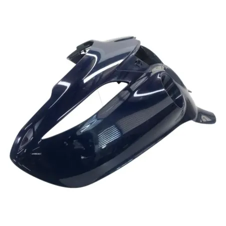 Cache carenage tete de fourche INDIAN CHIEFTAIN 1811 2018-2020 CLASSIC