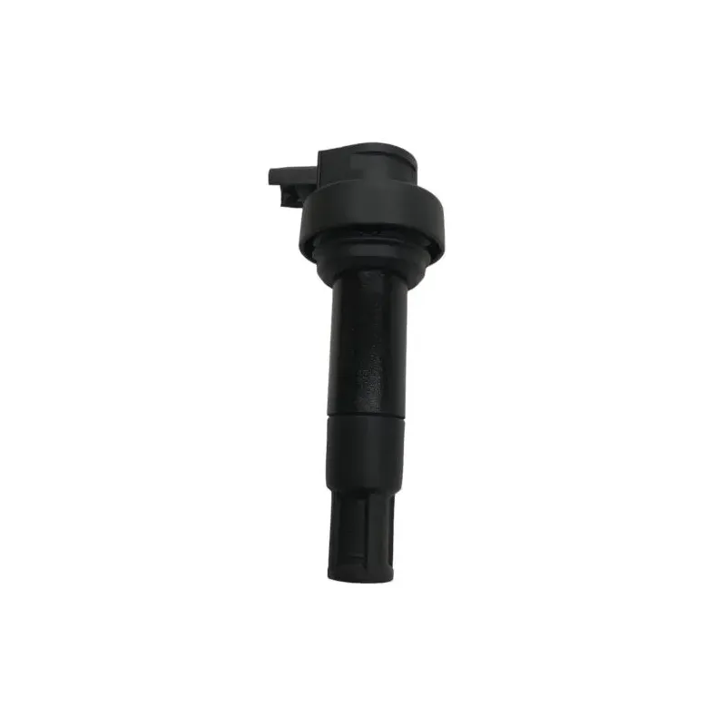Bobine allumage crayon BMW K 1600 GTL 2011-2016 K48