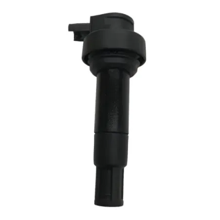 Bobine allumage crayon BMW K 1600 GTL 2011-2016 K48