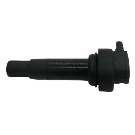 Bobine allumage crayon BMW K 1600 GTL 2011-2016 K48