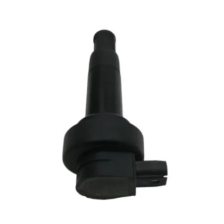 Bobine allumage crayon BMW K 1600 GTL 2011-2016 K48