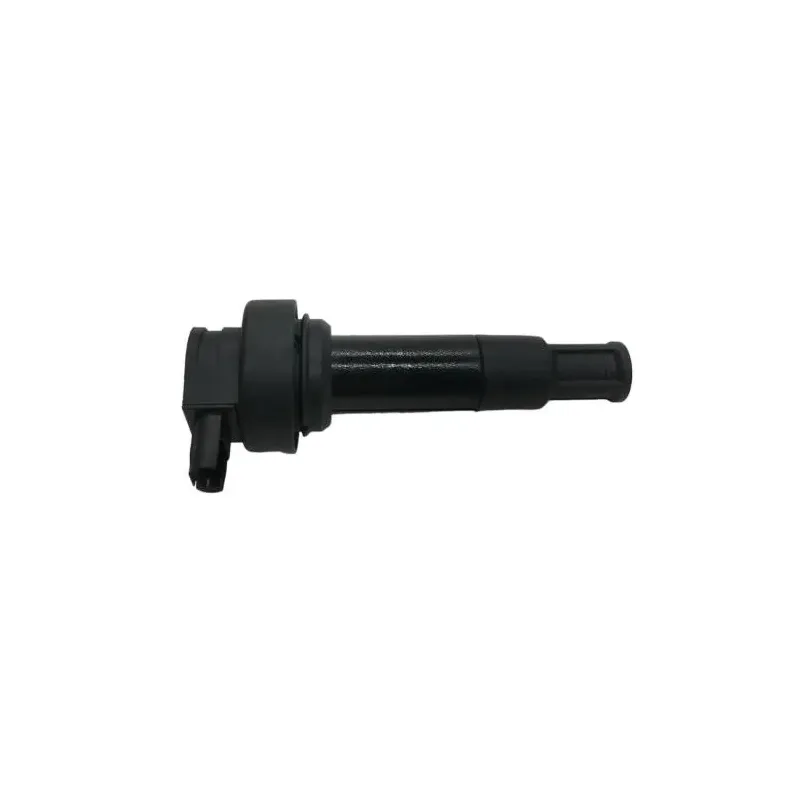 Bobine allumage crayon BMW K 1600 GTL 2011-2016 K48