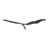 Cache carenage sous selle droit DUCATI 1098 2007-2008 SUPERBIKE Cache carenage sous selle droit DUCATI 1098 2007-2008 SUPERBIKE