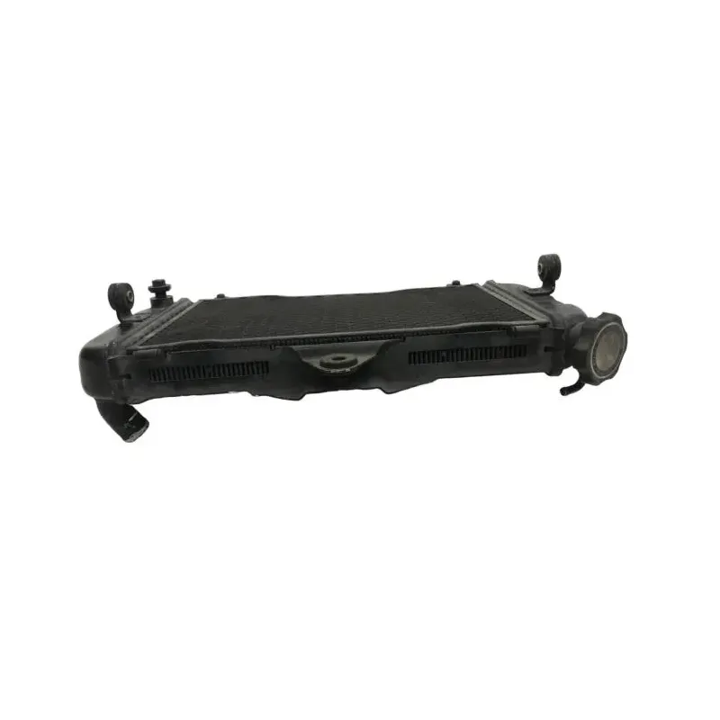 Radiateur eau YAMAHA TDM 850 1991-1995