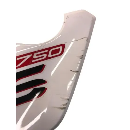 Ecope radiateur gauche BMW F 750 GS 2018-2023