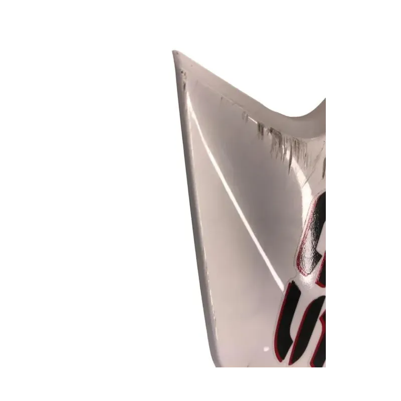 Ecope radiateur gauche BMW F 750 GS 2018-2023