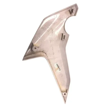 Ecope radiateur gauche BMW F 750 GS 2018-2023