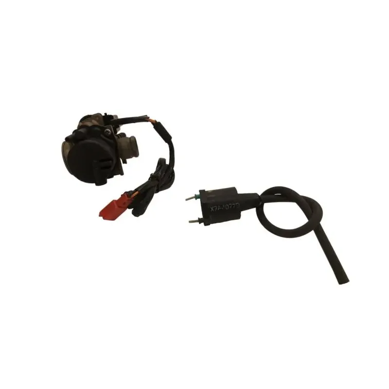 Carburateur PEUGEOT LUDIX 50 2007-2013 ONE 10P