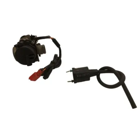 Carburateur PEUGEOT LUDIX 50 2007-2013 ONE 10P