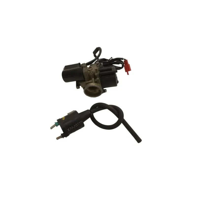 Carburateur PEUGEOT LUDIX 50 2007-2013 ONE 10P