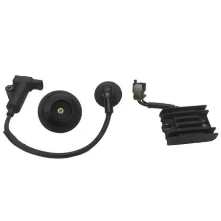 Bobine allumage MASH NEW SEVENTY 125 2019-2020