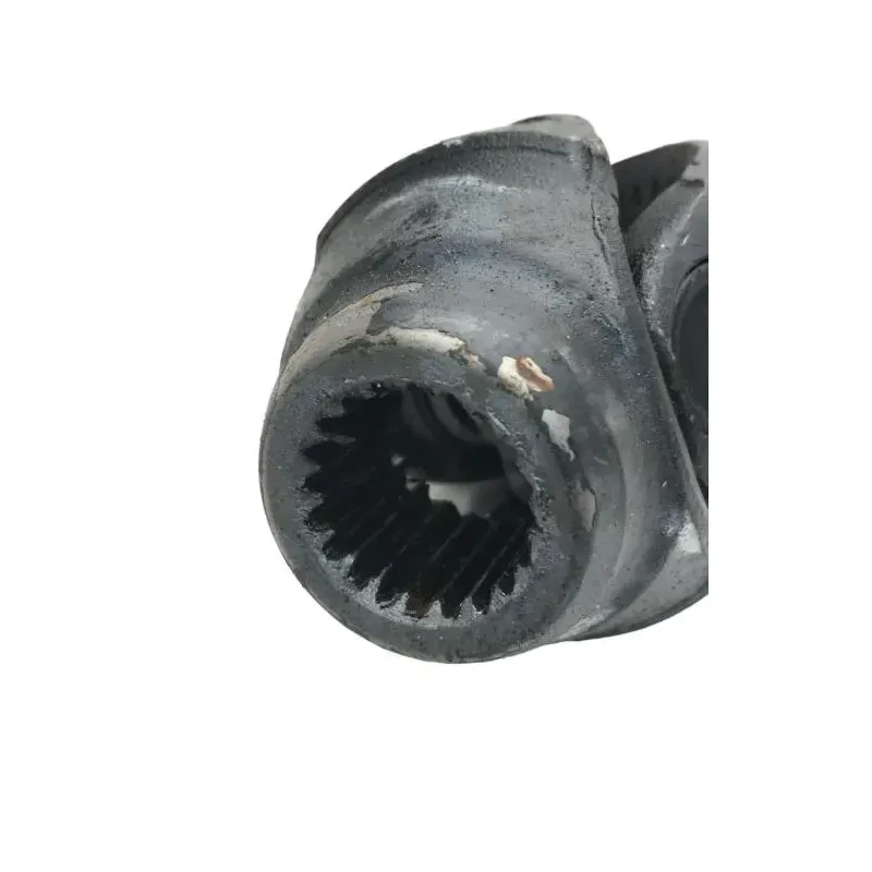 Cardan BMW R 1250 R 2019-2024
