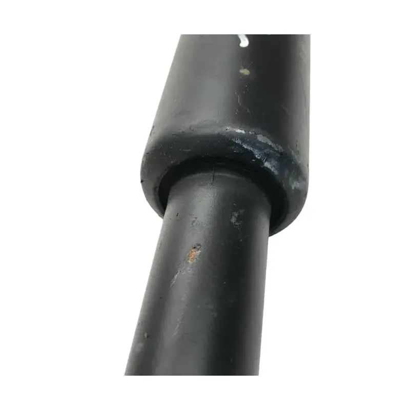 Cardan BMW R 1250 R 2019-2024