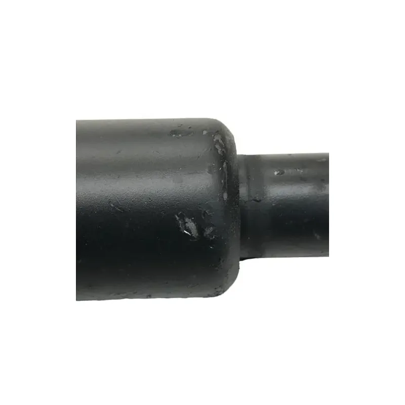 Cardan BMW R 1250 R 2019-2024