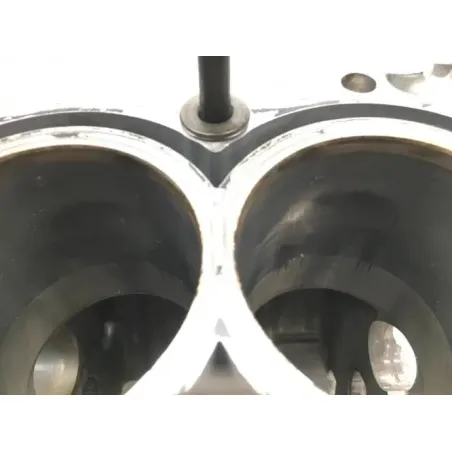 Carter moteur HONDA CBR 600 F 2001-2006