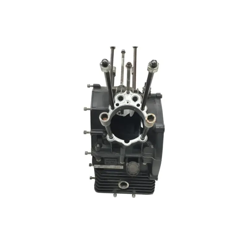 Carter moteur MOTO GUZZI NEVADA 750 2004-2008 CLASSIC