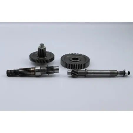 Transmission SYM CROX 50 2016 - 2020