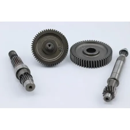Transmission SYM CROX 50 2016 - 2020