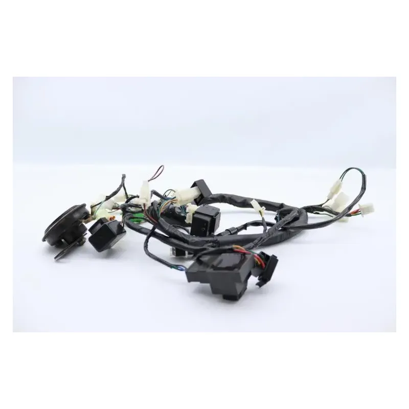 Faisceau electrique MASAI SCRAMBLER 50 2022 - 2023