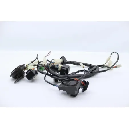 Faisceau electrique MASAI SCRAMBLER 50 2022 - 2023