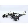 Faisceau electrique MASAI SCRAMBLER 50 2022 - 2023
