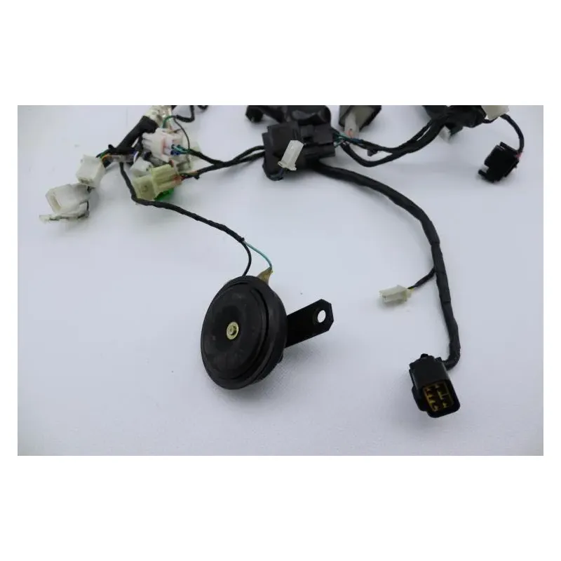 Faisceau electrique MASAI SCRAMBLER 50 2022 - 2023