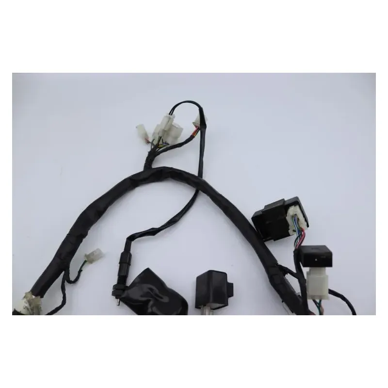 Faisceau electrique MASAI SCRAMBLER 50 2022 - 2023