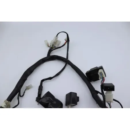 Faisceau electrique MASAI SCRAMBLER 50 2022 - 2023
