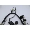 Faisceau electrique MASAI SCRAMBLER 50 2022 - 2023