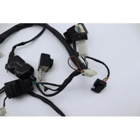 Faisceau electrique MASAI SCRAMBLER 50 2022 - 2023