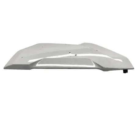 Cache lateral gauche BMW S 1000 XR 2020-2023 K69