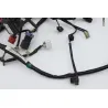 Faisceau electrique HONDA PCX 125 2010 - 2013 Faisceau electrique HONDA PCX 125 2010 - 2013