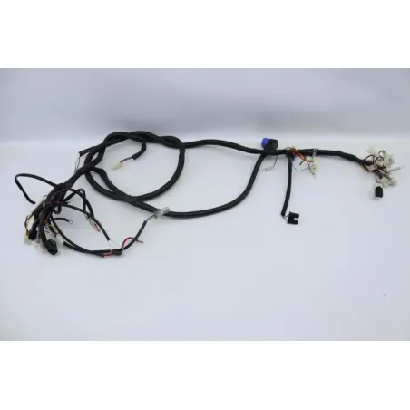 Faisceau electrique EASY WATTS E RETRO 125 MAX ELECTRIQUE 2021 - 2024