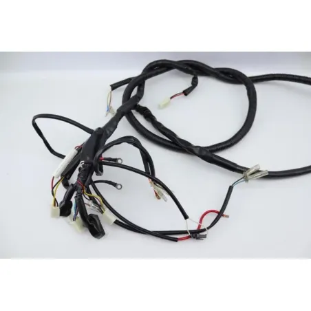 Faisceau electrique EASY WATTS E RETRO 125 MAX ELECTRIQUE 2021 - 2024