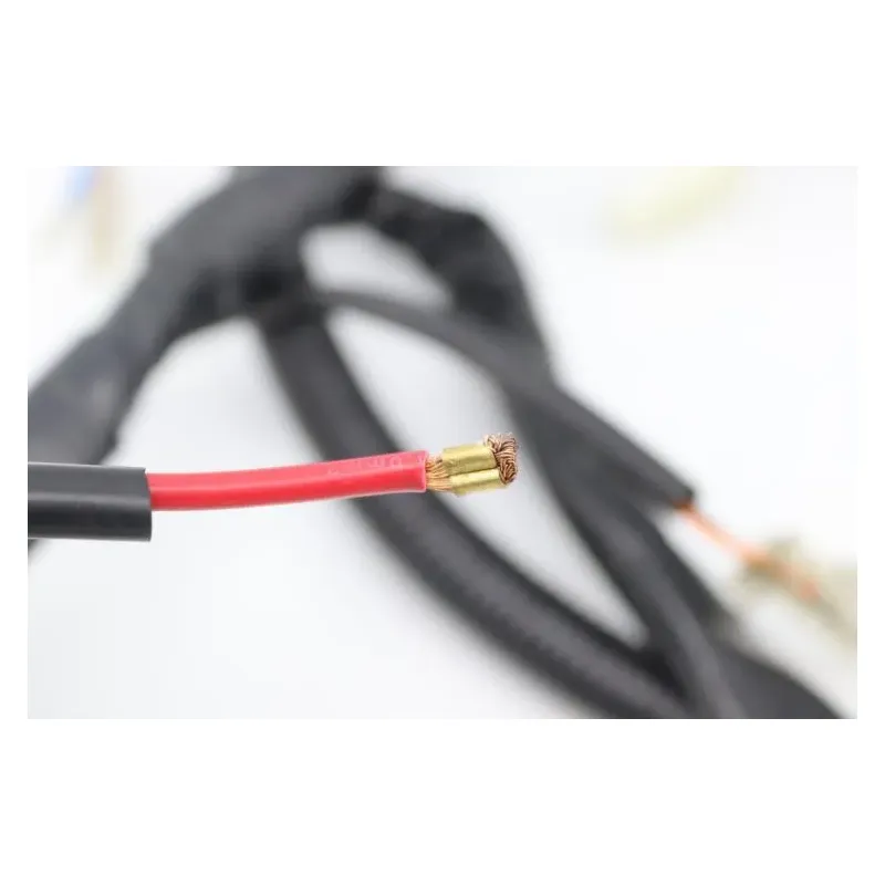 Faisceau electrique EASY WATTS E RETRO 125 MAX ELECTRIQUE 2021 - 2024