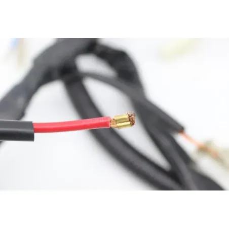 Faisceau electrique EASY WATTS E RETRO 125 MAX ELECTRIQUE 2021 - 2024