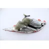 Feu arriere droit YAMAHA YPR 125 XMAX ABS 2010 - 2013