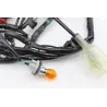 Faisceau electrique HONDA PCX 125 2010 - 2013 Faisceau electrique HONDA PCX 125 2010 - 2013