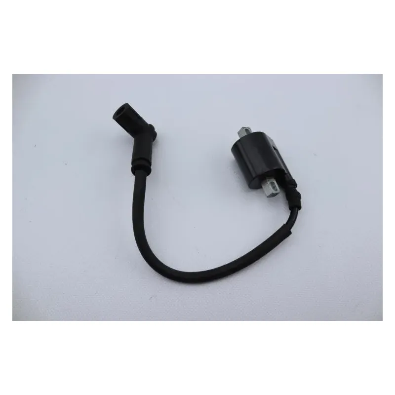 Bobine allumage CPI GTR 50 2006 - 2008