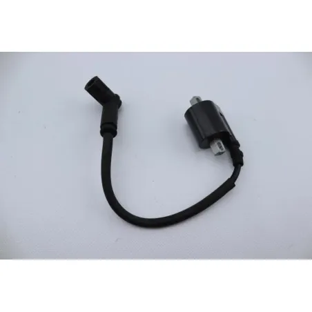 Bobine allumage CPI GTR 50 2006 - 2008