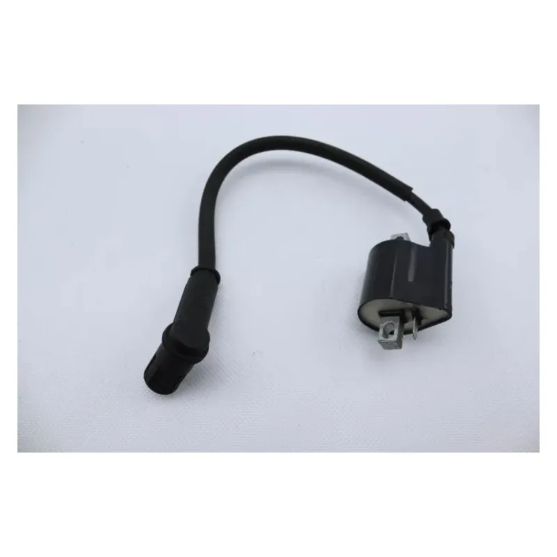 Bobine allumage CPI GTR 50 2006 - 2008