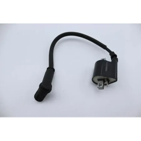 Bobine allumage CPI GTR 50 2006 - 2008
