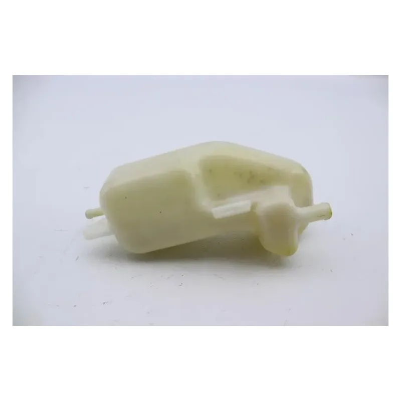 Vase expansion CPI GTR 50 2006 - 2008