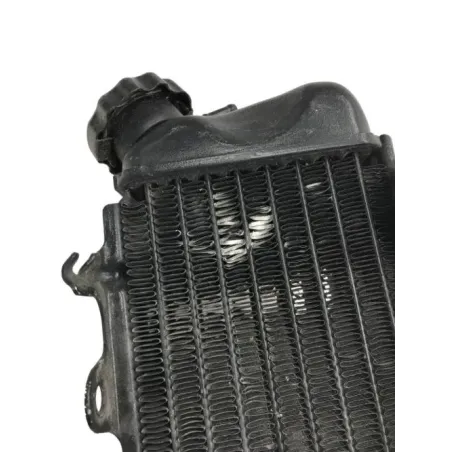 Radiateur eau SUZUKI TS 125 R 1989-1994