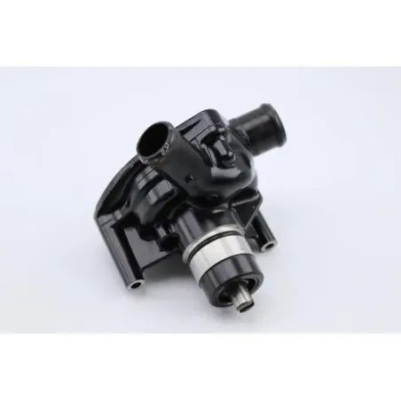 Pompe a eau TRIUMPH SPEED TRIPLE 900 1997 - 1998